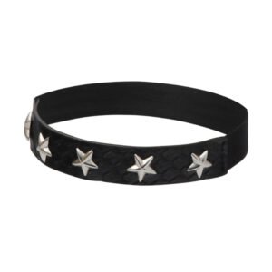 Seeing Stars